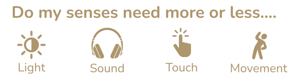 Recovery Check In senses needs: light, sound, touch, movement
